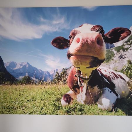 Zuhause In Hofs ,Leutkirch Im Allgaeu Exteriér fotografie