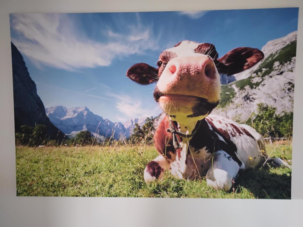 Zuhause In Hofs ,Leutkirch Im Allgaeu Exteriér fotografie